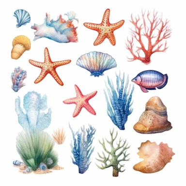Ocean Life: Detailed watercolor illustrations of sea creatures, such as fish, seashells, starfish, and coral, bringing the underwater world to life. clipart, white background