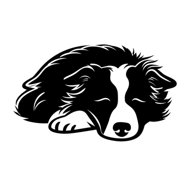 simple monochrome outline of a sleeping Border Collie dog, cute, clipart
