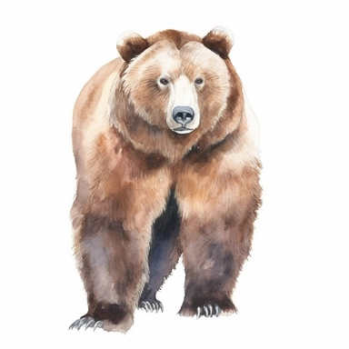 watercolor illustration, grizzly bear, realistic, clipart, high definition, white background