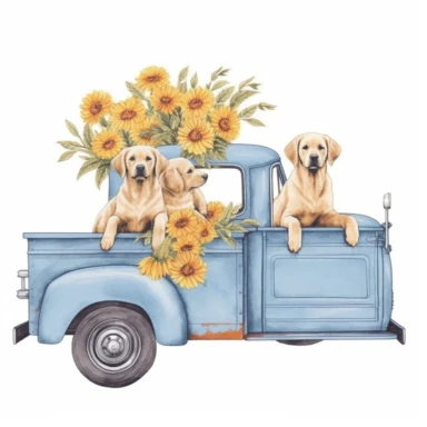 Color hand drawn illustration of yellow lab puppies in back of old blue truck side profile, composition, clipart, surrounded by flowers, in the style of Simply Southern, retro style, clean white background