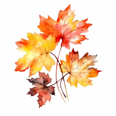 watercolor, autumn branch of maple leaves, sweet colors, clipart, white background