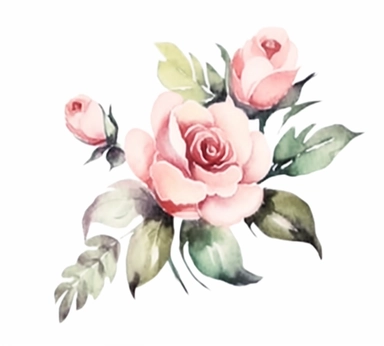 floral roses watercolor flower free clipart illustration, white background, in the style of light pink and green, valentin de boulogne, wiesław wałkuski, feminine sticker art, fujifilm x100v, hand-coloring