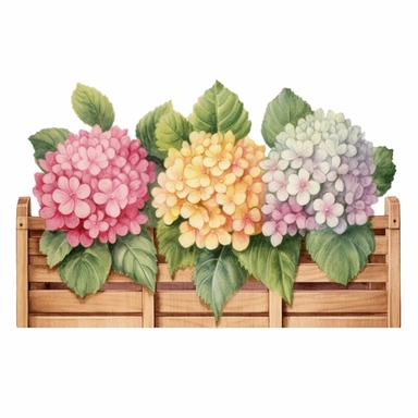 Design a dreamy watercolor clipart of frenchfarmhouse-inspired Hydrangeas, dahlias, and snapdragons arranged in a wooden crate composition, hand-painted with soft and graceful brushstrokes. Draw inspiration from the artistic finesse of Ethereal Petals Watercolors for a refined and ethereal depiction. isolated on a white background, hand-drawn illustration, hand-painted watercolor texture, 16k UHD resolution, intricately detailed, sharp focal points, designed by Ana Victoria Calderon and Holly Ex
