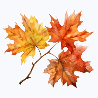 clipart, maple leaf branch abundant,details,watercolor