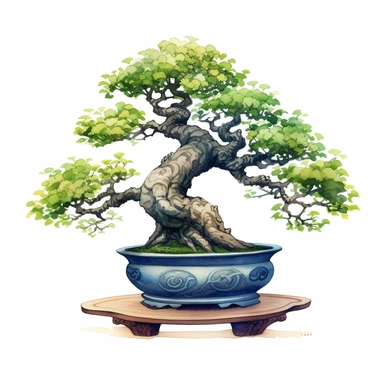 a detailed water color picture of a beautiful bonsai tree in a handpainted pottery. On a white background as clipart.