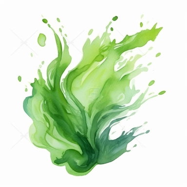 single algae clipart graphic vector white background cartoon style drawing watercolor