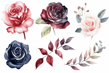 Watercolor clipart collection of matching and coordinating navy, burgundy and white roses, isolated elements on a white background with a wide margin