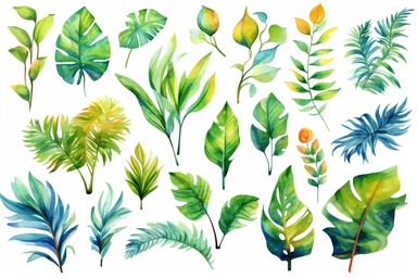 Watercolor, Design an image highlighting palmate leaves of different species, clipart, hd, on a white background, spaced out