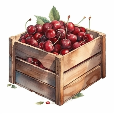 Hand drawn watercolor wooden crate with cherry, realistic and detailed, clipart on white background