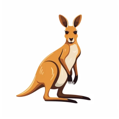 Kangaroo, crisp edges, clipart, white background