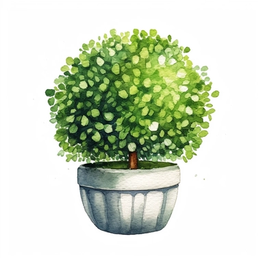 watercolor, hyper realistic, white background, white margins, 16k, ultra detailed clipart, cut out image, hand-drawn a topiary planter in the shape of a ball, with perfectly rounded and symmetrical green foliage. in the style of furaffinity, witty vignettes, charming vignettes, beatrix potte