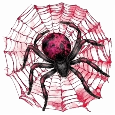 Vintage Halloween spider web, dark pink and black color, watercolor, clipart, illustration, white background