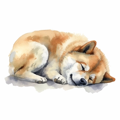 Akita Inu dog sleeping, watercolor, sharp illustration clipart, insane detail, white background