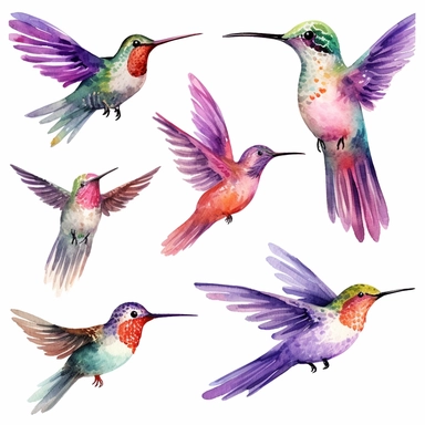 watercolor hummingbird clipart - watercolor clipart - watercolor bird, single design, detailed