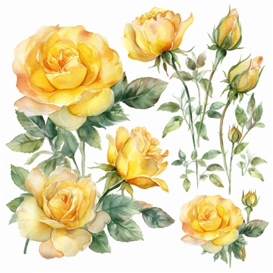 clipart set of buttercup yellow roses, whimsical watercolor painting, separated with white margins between each item, isolated on white background