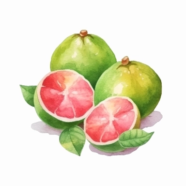 on white background cute and vibrant clipart featuring guava in watercolor style, hyper realistic photo flat color