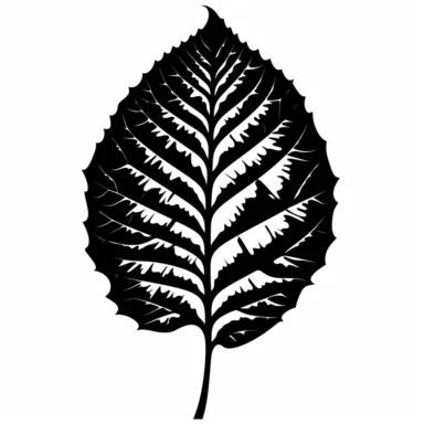black silhouette leaf clipart