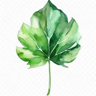 Single Watercolor, hand shaped leave clipart green