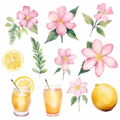 basic watercolor pink lemonade flowers in minimal hand drawn style, Etsy, textured, clipart, white background