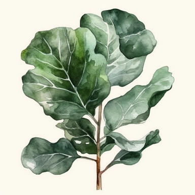 Watercolor Fiddle Leaf Fig Tree Clipart, Fiddle Leaf Fig, Minimalist Fiddle Leaf Fig Tree Watercolor, Ikebana Clipart, Separated design, 8k