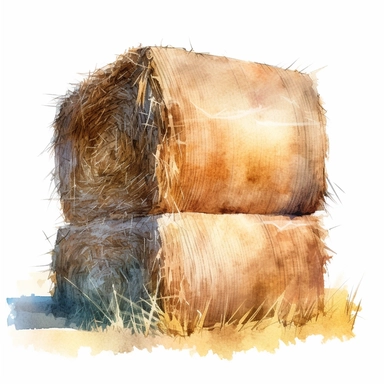 side view realistic watercolor drawing of a bale of hay in a cotton field, on a white background where the background will be removed to repurpose as a clipart.