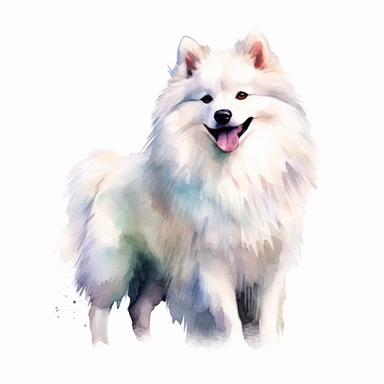 American Eskimo Dog dog, water color style, clipart, white background