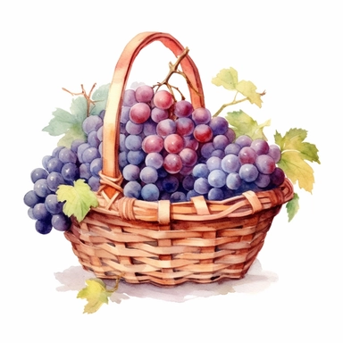 picturesque, simple, bright, the best simple Assorted grape in a basket in the world, clipart on white background, watercolor, painted by Beatrix Potter, 8k