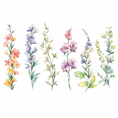 Watercolor wildflower chain clipart, pastoral nostalgia, lively illustrations, soft color, whimsical, high details, individually isolated on a white background