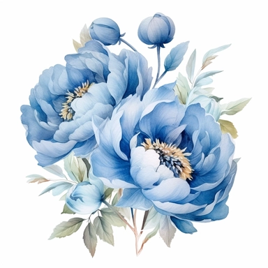 Blue Peonies png, watercolour peony clipart, peony illustration, floral clipart, watercolour flower clipart, watercolour png