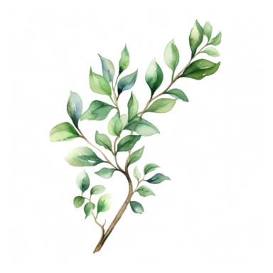 long leafy branch, Greenery Watercolor, Clipart, white background