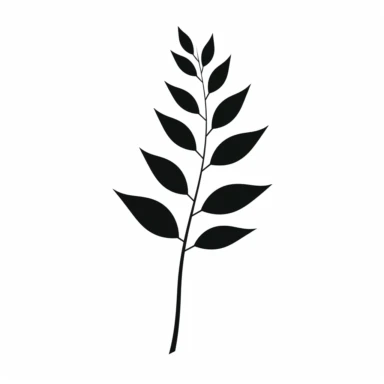 A black silhouette of a tree leaf, on a white background in clipart style.