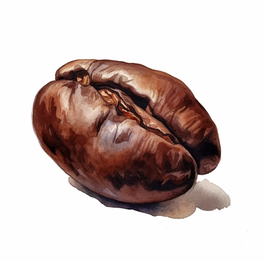 watercolor a large coffee bean filling the entire image isolated oil painting clipart white background