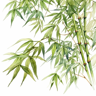 Clipart, vintage, watercolor, Bamboo Canopy, botanical illustration, hand drawn, texture