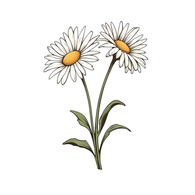 Clipart of cartoon two daisies in a minimalist style, on a white background,
