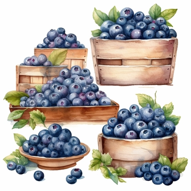 Watercolor blueberries Farmhouse tiered tray, breakfast window , watercolor clipart, details