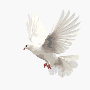 white dove, clip art