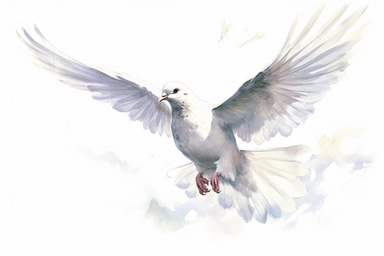 Clip art of flying dove, white, White margins around the image, drawn by Helen Beatrix Potter, easy to crop image, white background