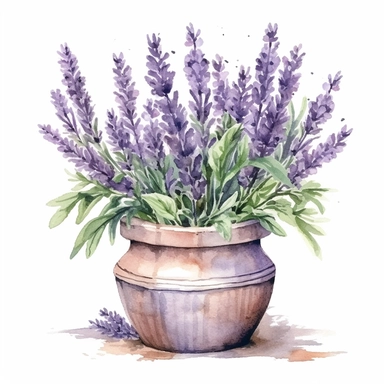 lavender flowers in a neutral toned clay pot, watercolor style, clipart