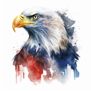 isolated watercolor independence day American eagle clipart white background