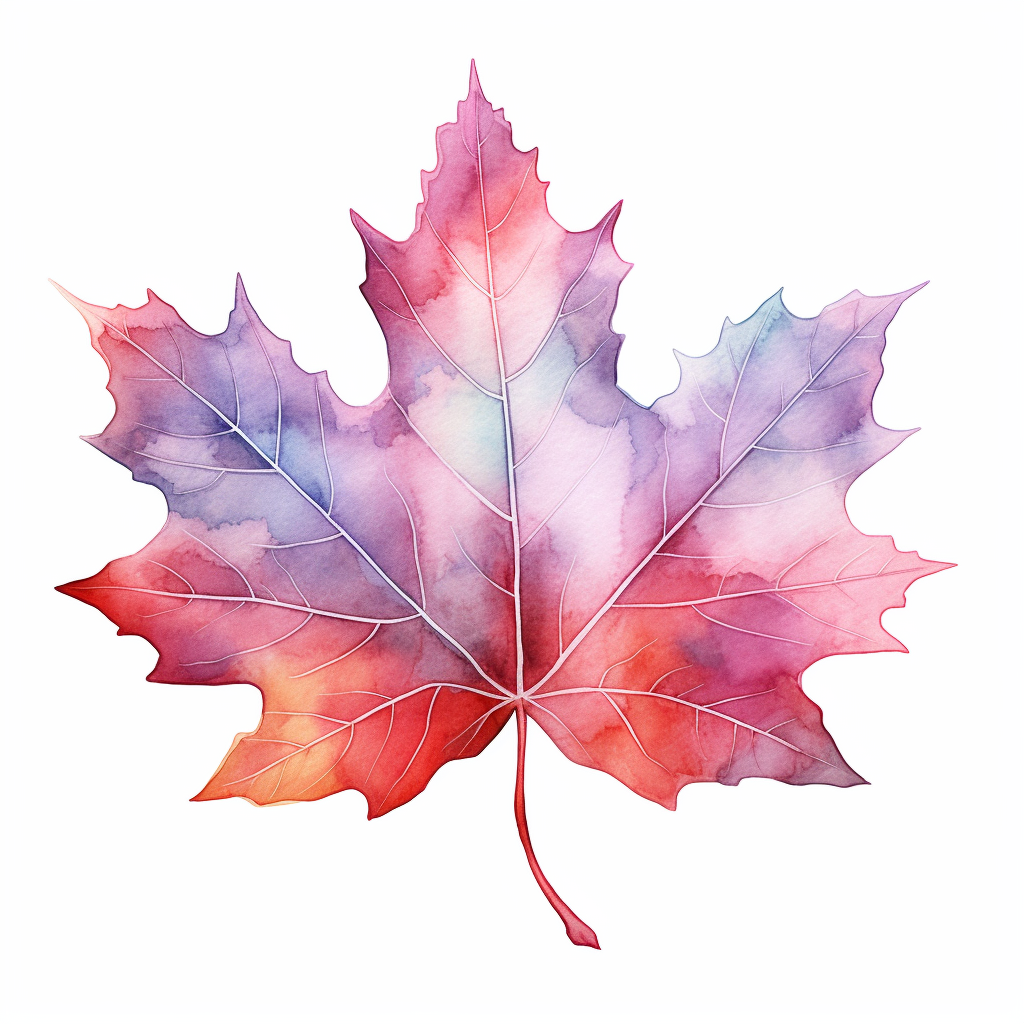 maple leaf clipart