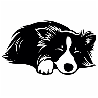 simple monochrome outline of a sleeping Border Collie dog, cute, clipart