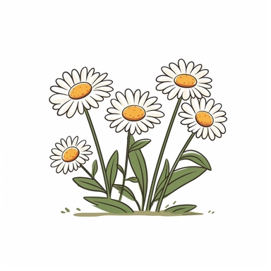 Clipart of cartoon daisies in a minimalist style, on a white background,