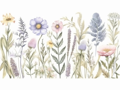 Clip art set.Coastal Elegance: Sea Lavender, Beach Sunflowers, and Sea Holly. Soft, Gentle, color pallete. perfect for adding a whimsical and romantic touch to invitations, stationery, and more, vector, contour, white background, clipart set, spaced out