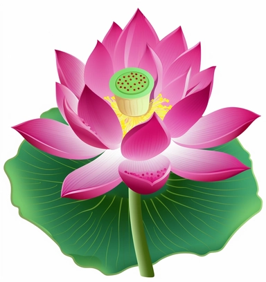 free lotus flower clip art, in the style of light green and magenta, imitated material, tang dynasty, high detailed, khmer art, eye-catching composition, white background