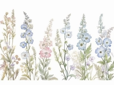 Clip art set.Whimsical Meadow: Delphiniums, Baby Blue Eyes, and Queen's Lace. Soft, Gentle, color pallete. perfect for adding a whimsical and romantic touch to invitations, stationery, and more, vector, contour, white background, clipart set, spaced out