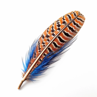 a Lady Amherst's Pheasant feather isolated on a clean fully white background, in the style of matte photo, realist, lifelike accuracy, uhd image, miniaturecore, organically inspired, 8k photography, professional feather clipart