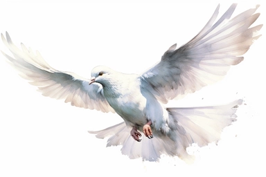 Clip art of flying dove, white, White margins around the image, drawn by Helen Beatrix Potter, easy to crop image, white background