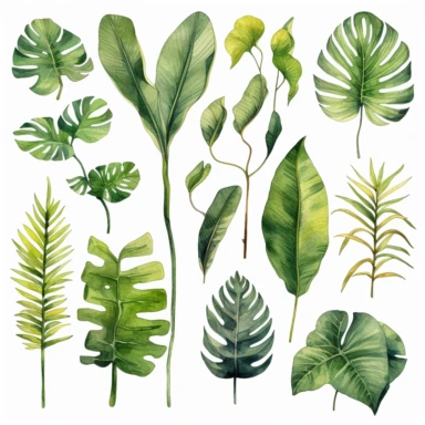 watercolour jungle tropical plant leaves clipart bundle