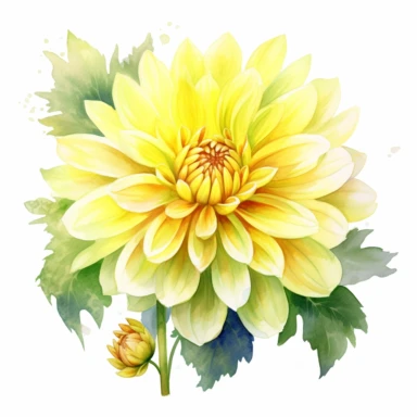 Watercolor lemon yellow dahlia clipart on a white background in the style of feminine sticker art, Tanya Shatseva, storybook illustration, sunny hues, Georgia O'Keeffe, flower and nature motifs, colored line art, colored outlines, cottagecore design, watercolor on white background, ombre, warm tones, colored line art, colored outlines, iridescent ombre, gradient shading, summer sunshine tone, vibrant digital art oil paint photorealism, an illustration of a colored flower, meticulous sketches, Ma