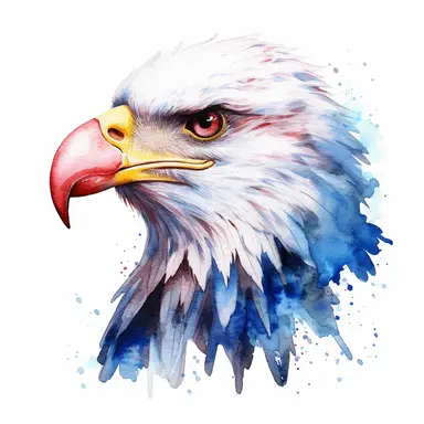 American eagle watercolour American 4th july clipart, red white blue colors, on white background